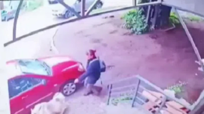 Ворующую и сматывающую собак скотчем костромичку задержали